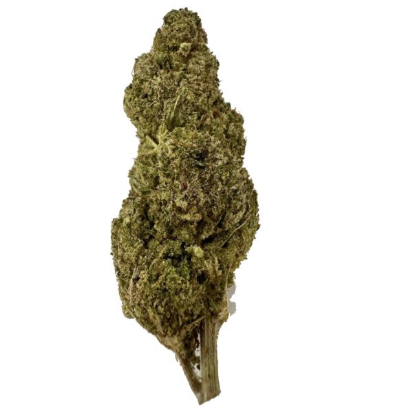 CBD Flowers SNOW Haze Indoor
